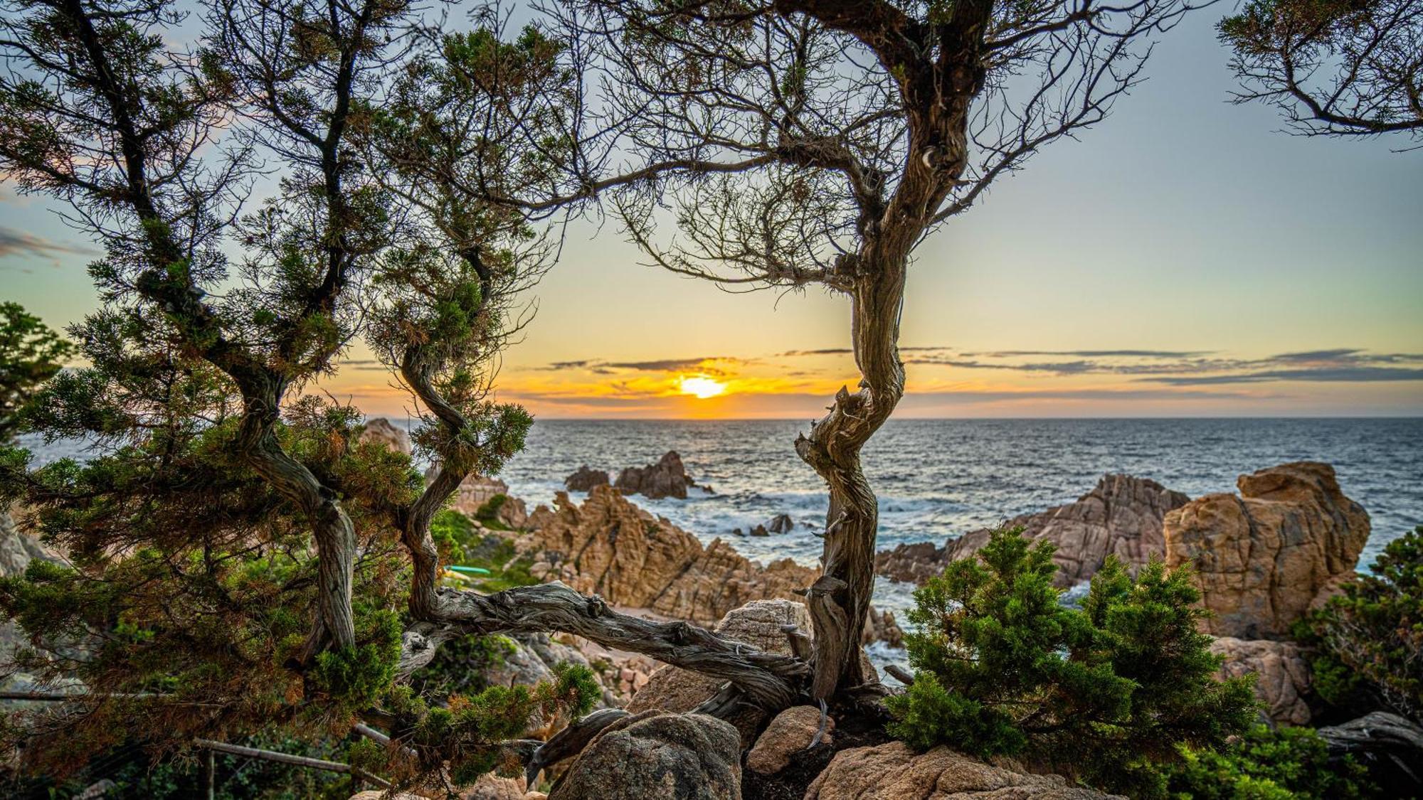Hotel Costa Paradiso Dış mekan fotoğraf