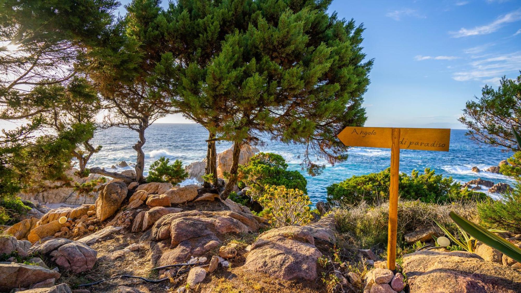 Hotel Costa Paradiso Dış mekan fotoğraf